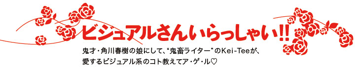 ビジュアルさんいらっしゃい!!