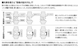 大麻と覚せい剤で異なる脳への影響　なぜドラッグは〈人を変える〉のか？