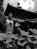 江戸時代のお寺は精神病院だった!? 薬に頼らざる「宗教的」精神疾患治療