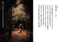 念力事報 第174回「シティベア」