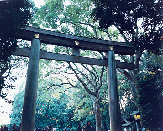 1401_jingu_01.jpg